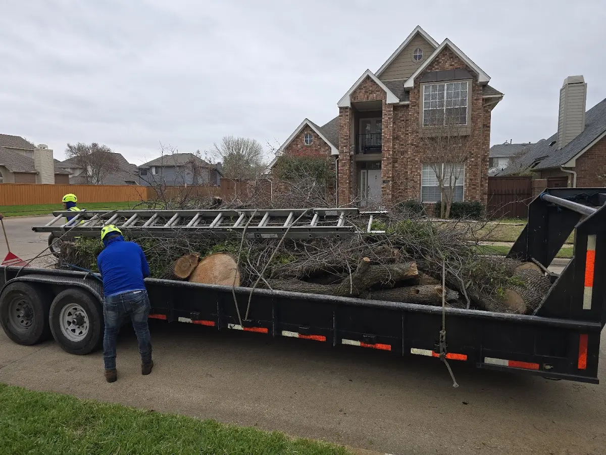 Expert Crown Reduction with proper safety equipment in Greenfield